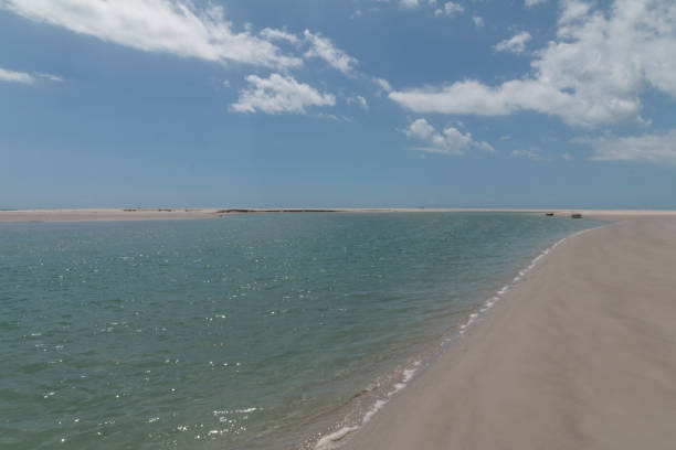 istock Wind power in Rio Grande do Norte, Brazil 701228102