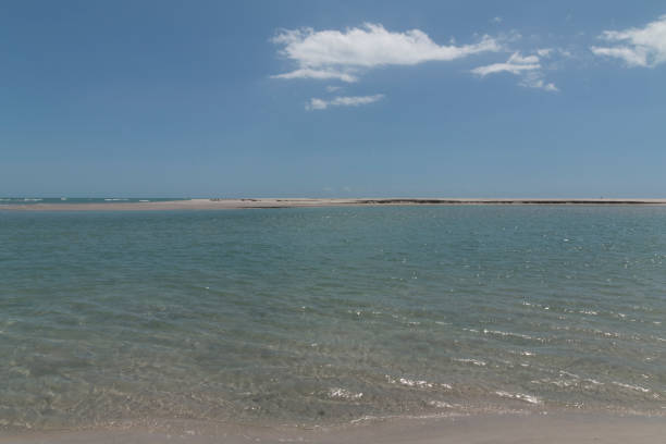 istock Wind power in Rio Grande do Norte, Brazil 701228154