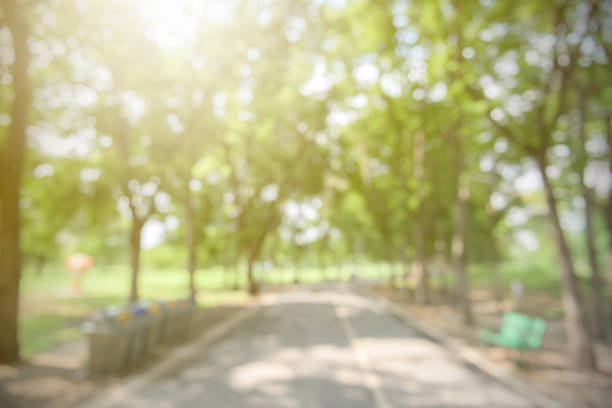 istock City park bokeh background 701230668