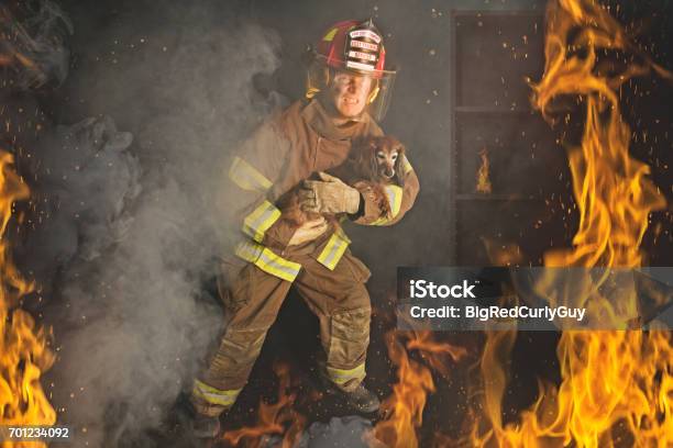 The Rescue Stock Photo - Download Image Now - Rescue, Firefighter, Fire - Natural Phenomenon