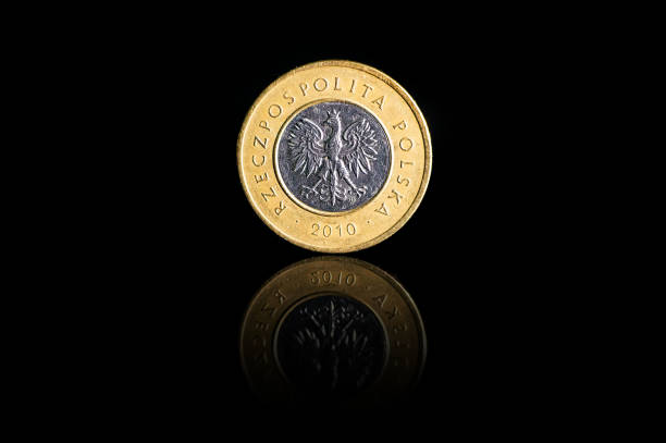 istock Coin Poland 2 zloty 701244194