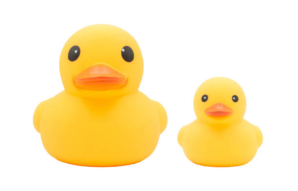 istock Set of Yellow rubber ducks on isolated white background. 701244314