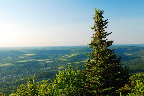 саммит на горе грейлок - berkshire hills стоковые фото и изображения