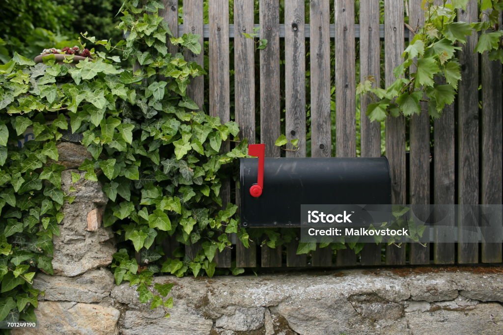 Single black mailbox sits on of a wooden fence. grape leaves or vine Single black mailbox sits on of a wooden fence. grape leaves or vine. Mailbox Stock Photo