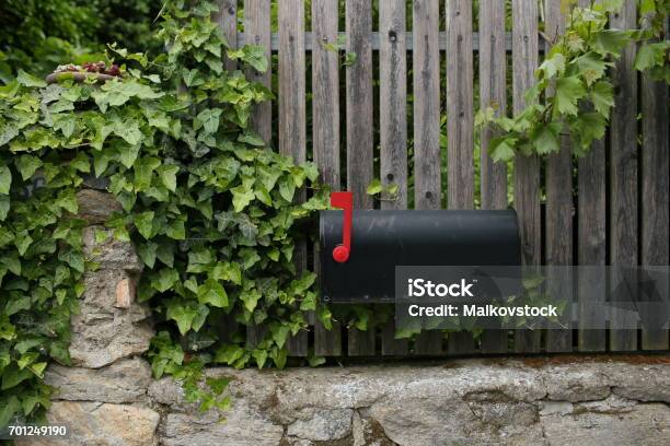 Single Black Mailbox Sits On Of A Wooden Fence Grape Leaves Or Vine Stock Photo - Download Image Now