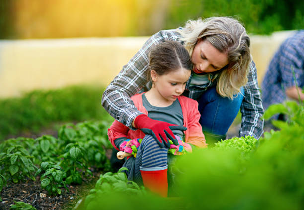 istock It’s a time to love and a time to grow 701249238