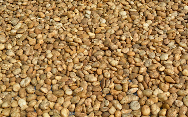 istock Yellow and brown pebble stone background 701249374