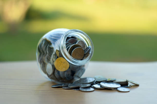 istock Concept - Plant in Money  container over nature background 701252418