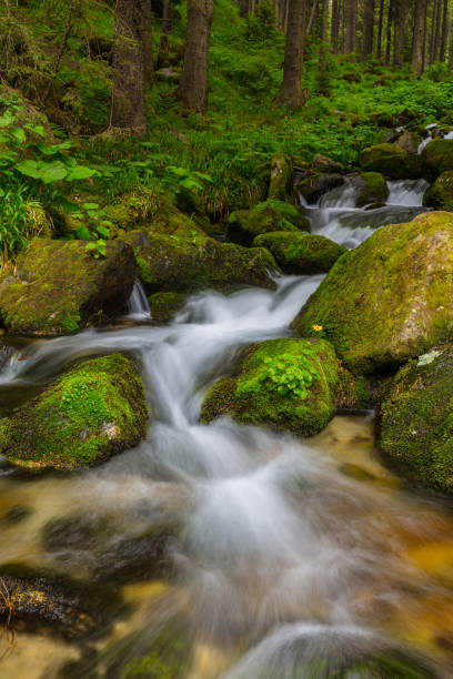 istock Pristine waterfalls deep in the woods, on a bright sunny day in spring 701260704