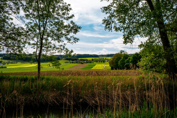 istock Scenic View Of Field Against Cloudy Sky 702630665