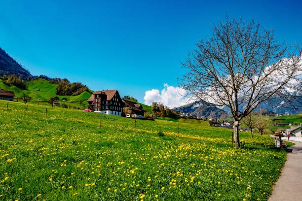 istock Scenic View Of Landscape Against Clear Sky 702657049