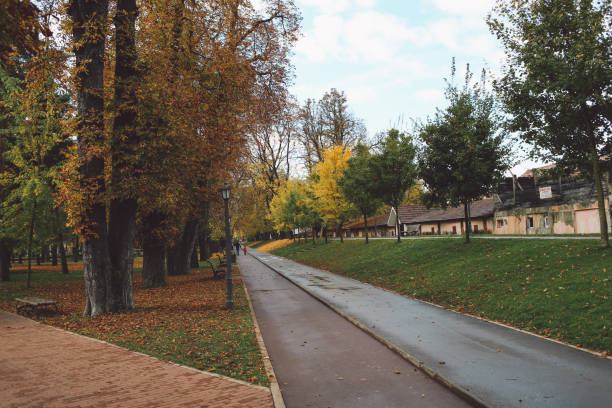 istock Road Amidst Trees In Town During Autumn 705165429