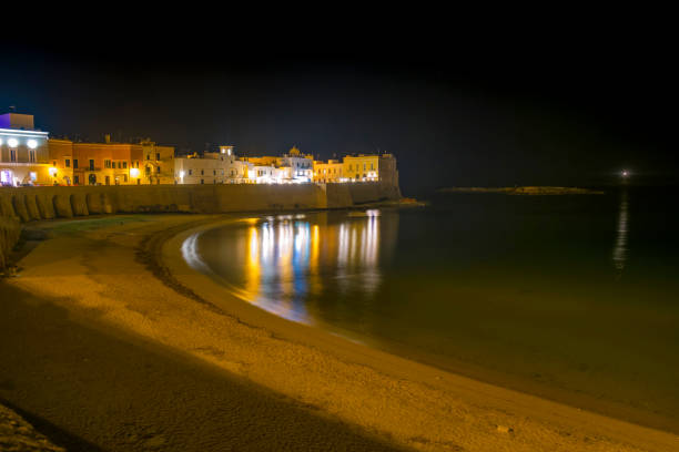 istock Beach By Illuminated Buildings At Night 705209781