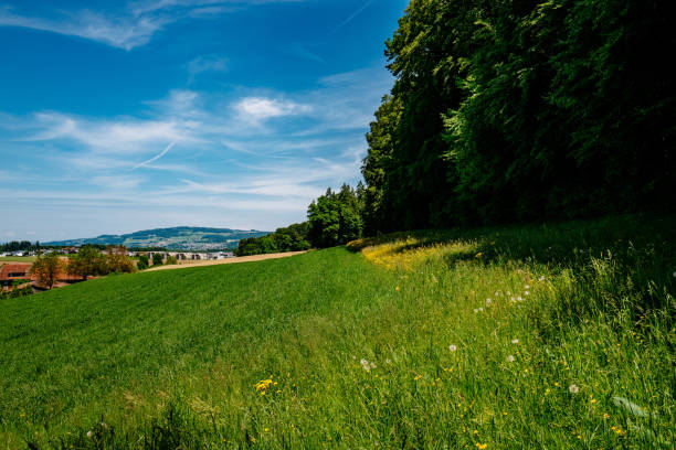 istock Scenic View Of Field Against Cloudy Sky 705223307