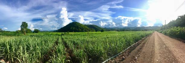 istock Panoramic Shot Of Agricultural Field Against Sky 707520013