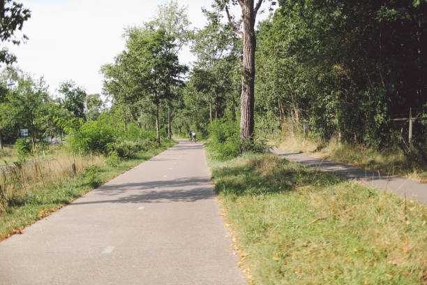 istock Road Amidst Trees On Sunny Day 707542427