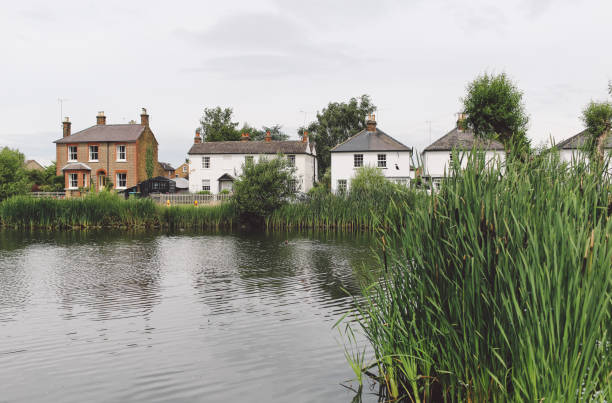 istock Grass Growing In Lake Against Sky 707544081