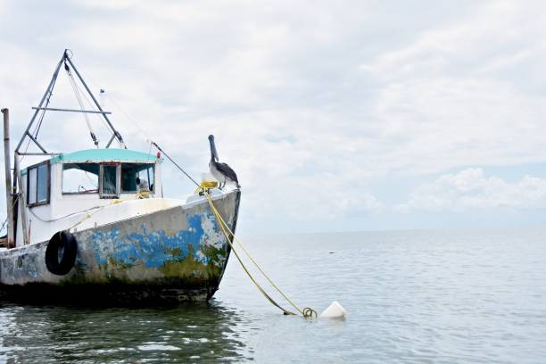 istock Ship In Sea Against Sky 713793119