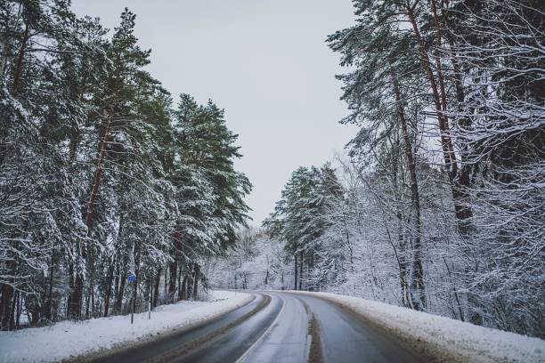 istock Road Amidst Trees Against Sky During Winter 713912285