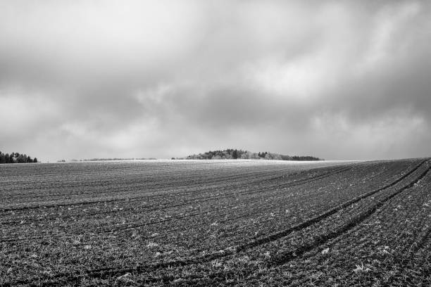 istock Scenic View Of Field Against Sky 713987075