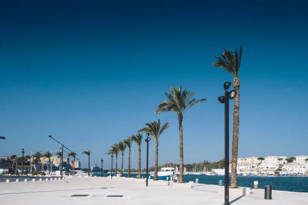 istock Palm Trees On Beach Against Blue Sky 713990487
