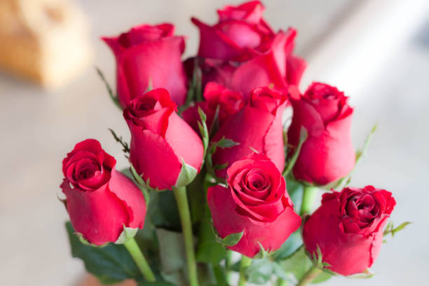 istock Close-Up Of Pink Roses 714005461