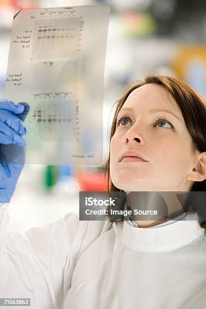 Scientist Looking At Adn Foto de stock y más banco de imágenes de Test de ADN - Test de ADN, ADN, Gel de secuenciación 