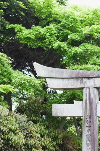 kyushu, japan - december 08 2021: Vermillion color shinto torii gates leading to the Okunomiya Sanbokojin shrine part of the Miyajidake Shrine in Fukuoka adorned with red-crowned crane sculptures.