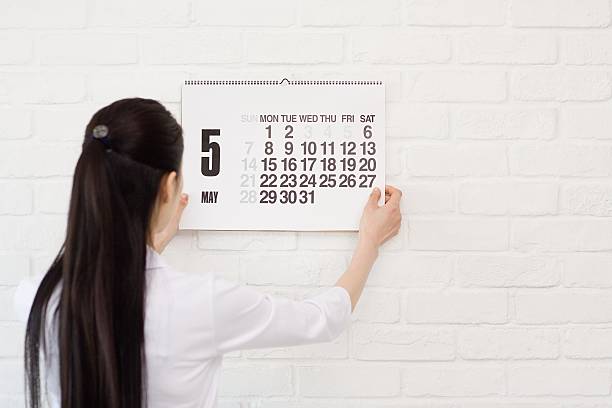 Woman hanging calendar on wall  wall calendar stock pictures, royalty-free photos & images