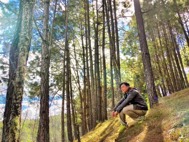 istock Low Angle View Of Man Crouching Against Trees In Forest 720120831