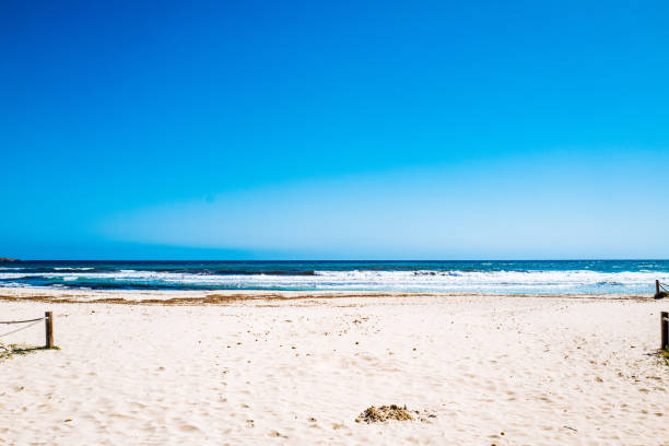 istock Scenic View Of Beach Against Clear Blue Sky 720150745