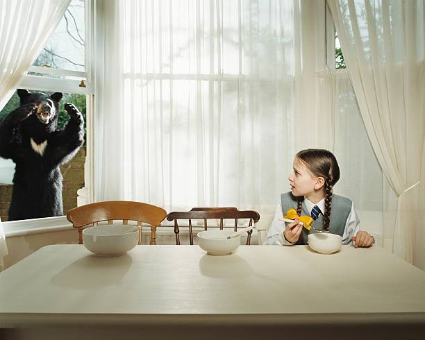 Girl scared by bear at the window  snarling photos stock pictures, royalty-free photos & images
