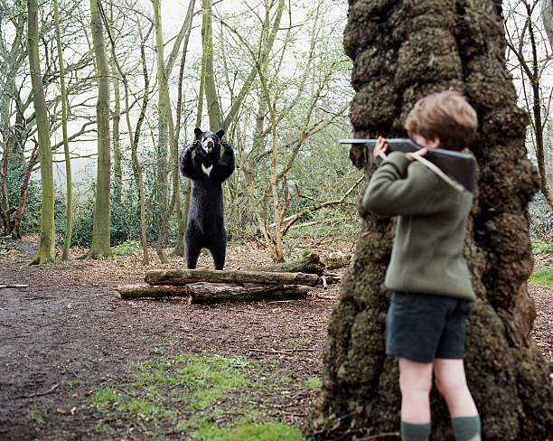 menino pronto para disparar um urso - bear hunting imagens e fotografias de stock