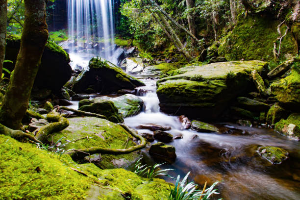 istock Scenic View Of Waterfall In Trees 722336011