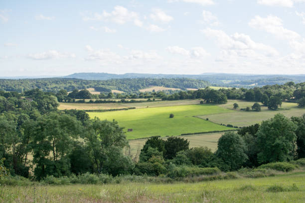 istock Scenic View Of Field Against Sky 722373089