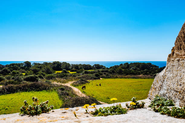 scenic view of landscape against clear blue sky - 5551 imagens e fotografias de stock