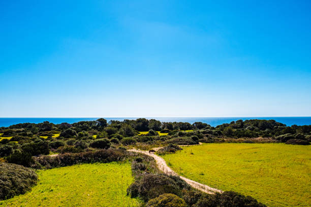 scenic view of farm against clear blue sky - 5551 imagens e fotografias de stock