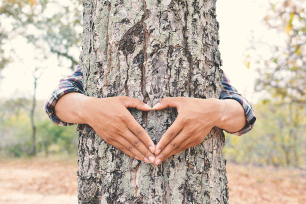 istock Midsection Of Man Holding Heart Shape In Park 724318107