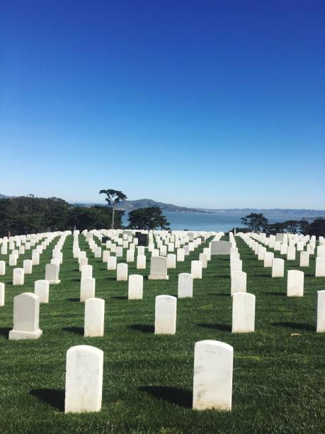 istock Tombstones In Cemetery Against Clear Blue Sky 726849525
