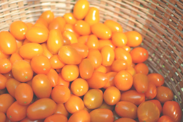 Background orange tomatoes, close-up. Texture of large ripe vegetables