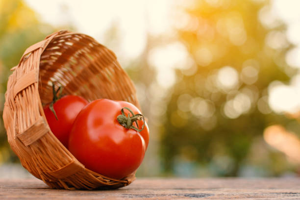 istock Close-Up Of Tomatoes In Wicker Basket On Table 726881845