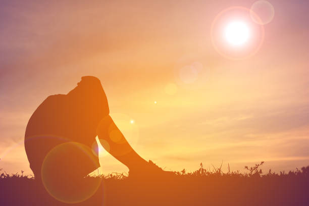 istock Silhouette Boy Sitting On Field Against Sky During Sunset 726891639
