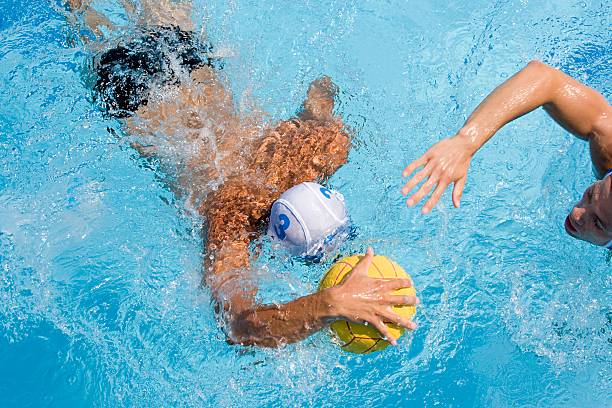 Water polo  water polo stock pictures, royalty-free photos & images