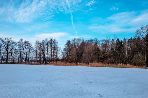 istock Bare Trees On Snow Covered Landscape Against Blue Sky 728841357
