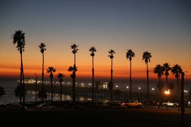 istock Silhouette Of Palm Trees At Beach During Sunset 728867577