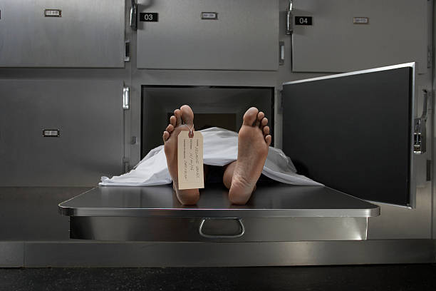 Cadaver on autopsy table, label tied to toe  morgue stock pictures, royalty-free photos & images