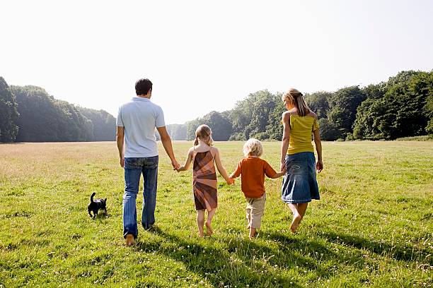 famille tenant les mains - family with two children family park child photos et images de collection