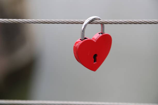 istock Close-Up Of Padlock Hanging 731845939