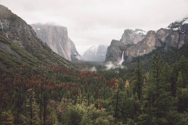 istock Scenic View Of Mountains Against Cloudy Sky 733473345
