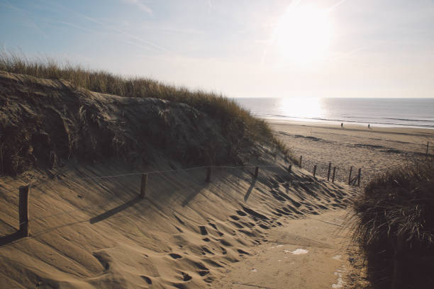 istock Scenic View Of Sandy Beach Against Sky 733473535